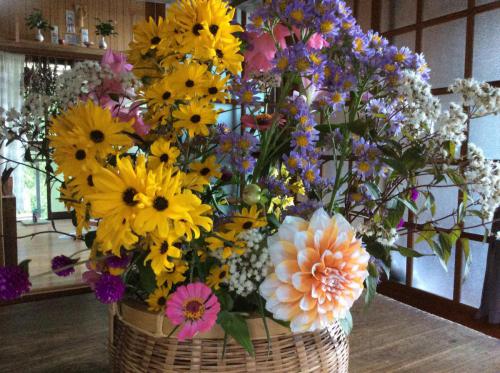 52292278_749672228739978_1802232800695287808_n